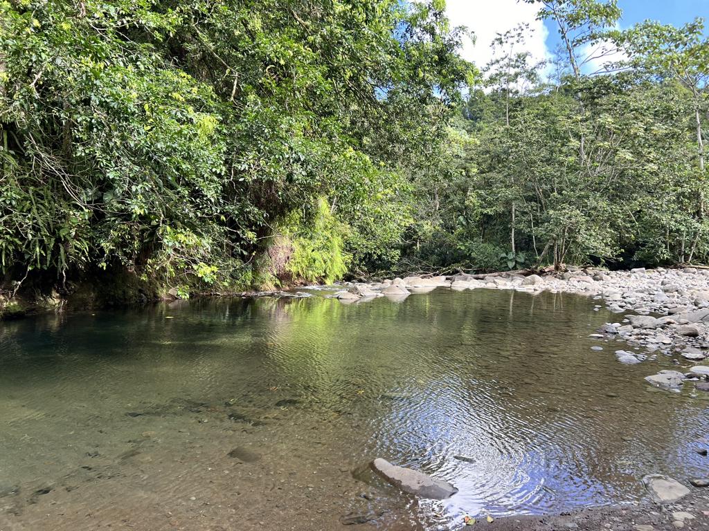 Guadeloupe Wasserfälle