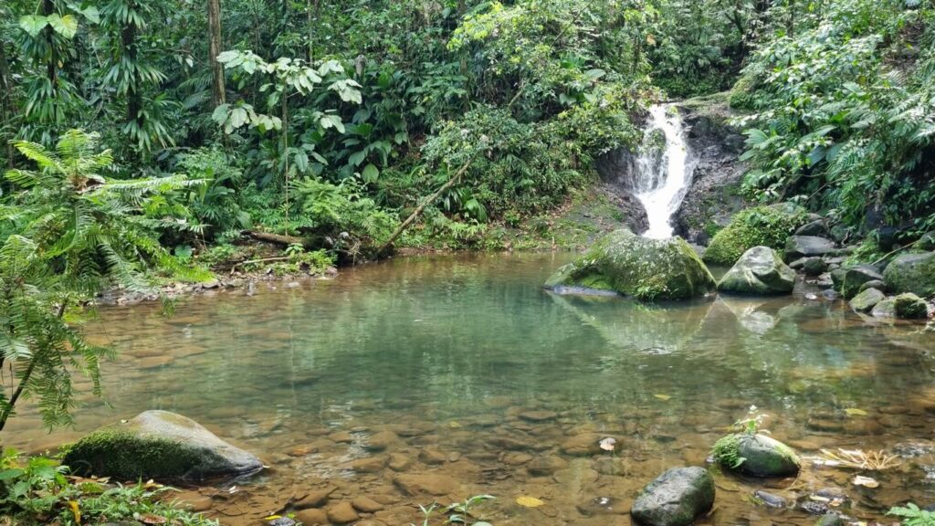 Guadeloupe Wasserfaelle