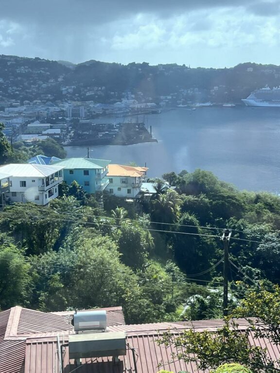 Ausblick auf St. Vincent and The Grenadines