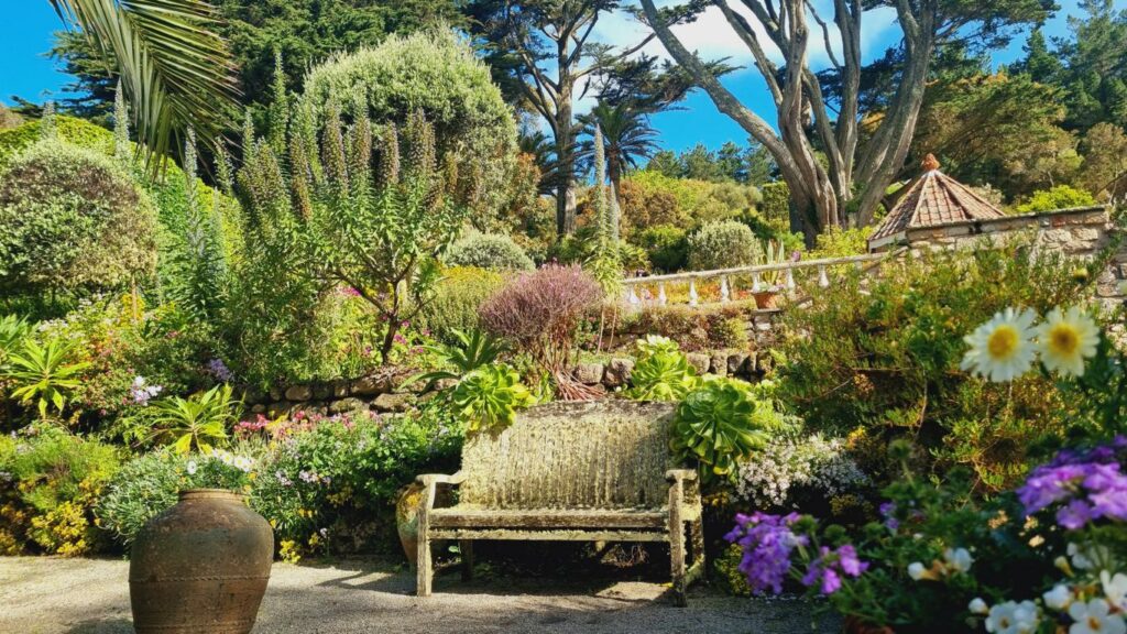 TRESCO - Isles of SCILLY, ENGLAND - Tresco Abbey Garden