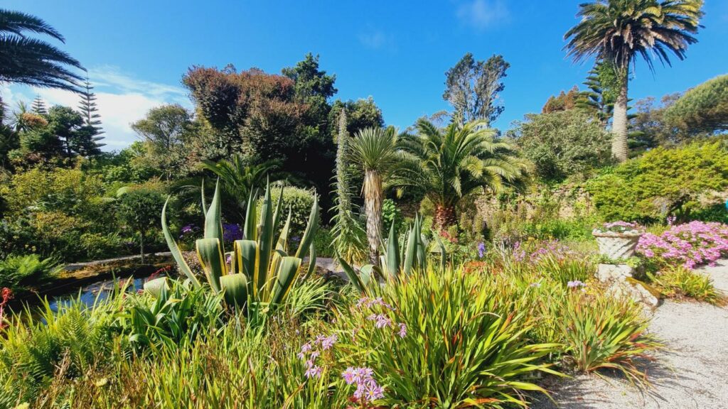 TRESCO - Isles of SCILLY, ENGLAND - Tresco Abbey Garden