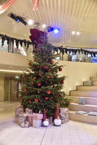 Read more about the article Wie kommt der Weihnachtsbaum auf die AIDA Schiffe